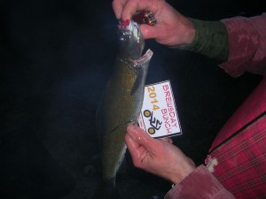 The fish