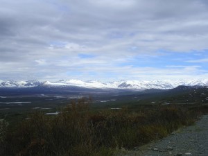 More pretty sites.