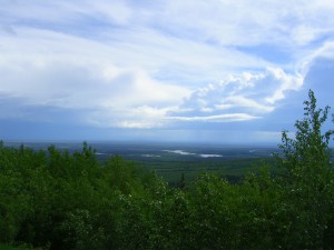 View