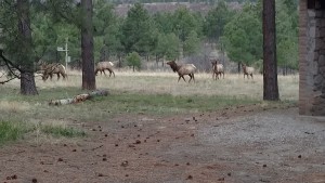IMG_20160430_191007406_TOP