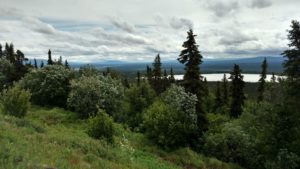 IMG_20160606_122253157_HDR