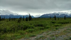 IMG_20160606_145918419_HDR