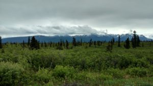 IMG_20160606_145924891_HDR