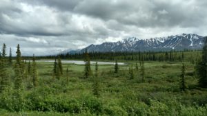 IMG_20160611_160717622_HDR