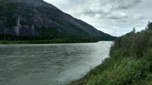 IMG_20160611_170209641_HDR