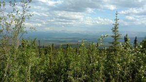 IMG_20160618_173923454
