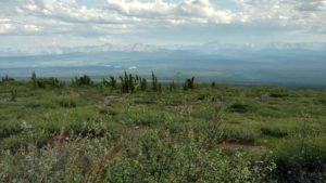 IMG_20160618_180028441_HDR