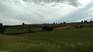 IMG_20160630_170150056