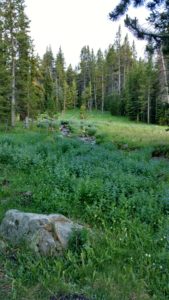 IMG_20160630_193946120_HDR